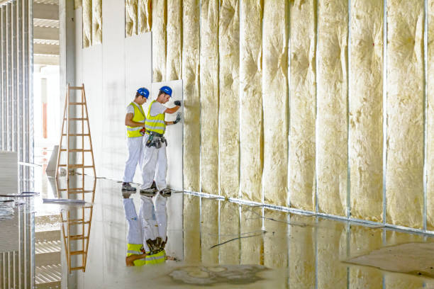 Best Specialized Insulation Services in Hillsborough, NC